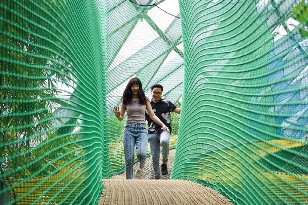 Visitors at Canopy Park bouncing on sky nets